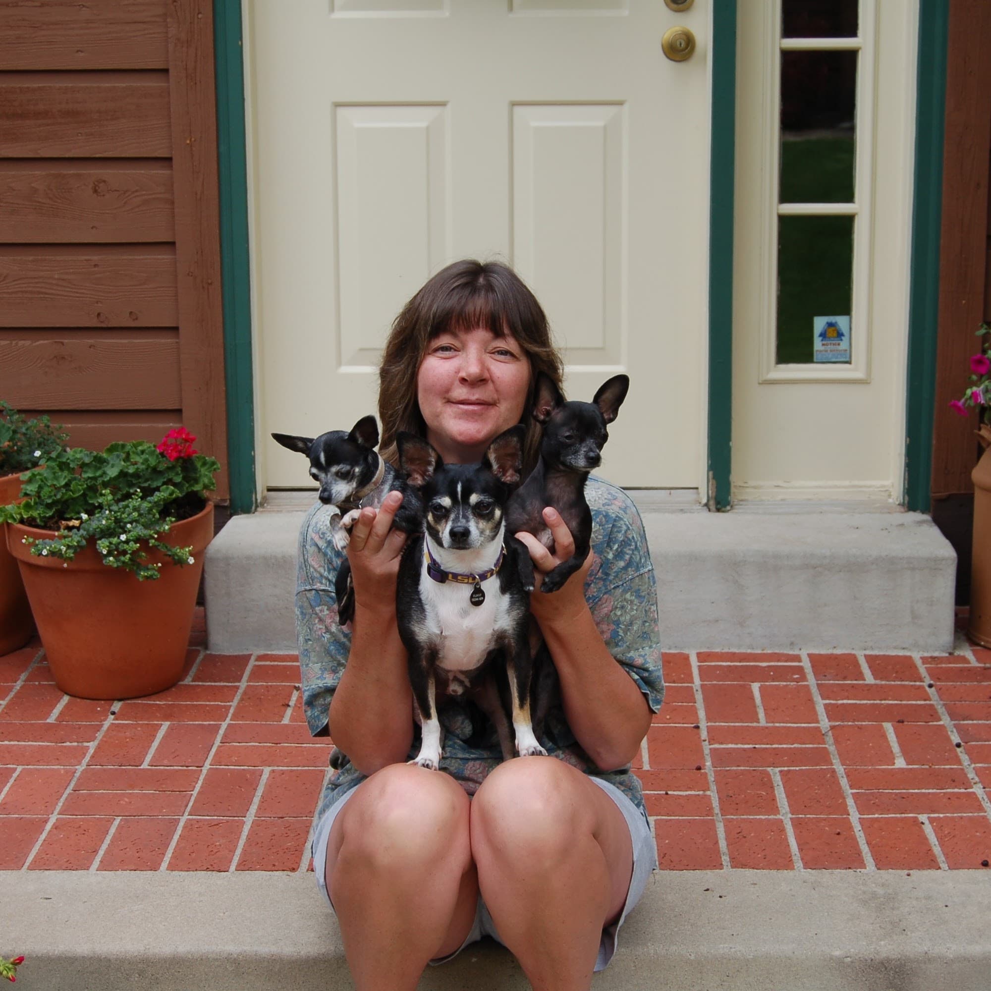 Petra and dogs